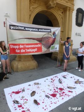 Protest vor dem Landhaus 1