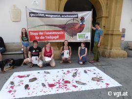 Protest vor dem Landhaus 2