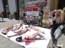 TierschützerInnen beim Nackt-Protest