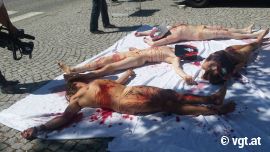 DemonstrantInnen