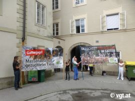 DemonstrantInnen vor dem Amt der Salzburger Landesregierung