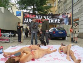 Nacktdemo in St.Pölten