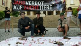 Demo vor Landhaus 1