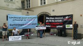 DemonstrantInnen
