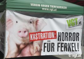 VGT Info-Zelt