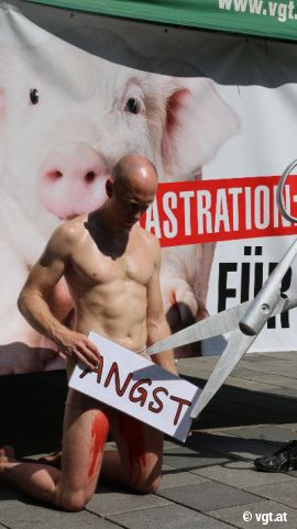 nackter Tierschutz-Aktivist