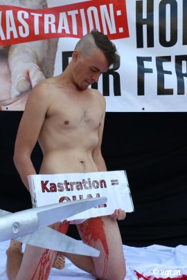 Nackt gegen Ferkelkastration 1