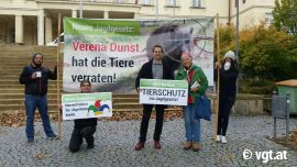 DemonstrantInnen