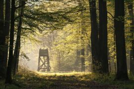 Jagdstand