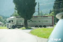 Tiertransporter