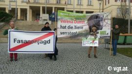 Demo vor dem Landhaus