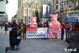 Ballon-Ferkel