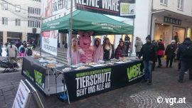 Aktion gegen betäubungslose Ferkelkastration 2
