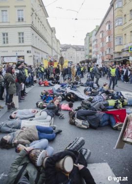 Tierrechts-Demo 3