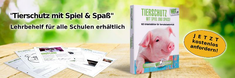 Lehrer:innen aufgepasst!