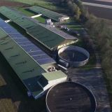 Mega-Schweinestall illegal errichtet? Tier- und Naturschützer erwirken Prüfung durch Gericht - Schock für Tierfabriksbetreiber!