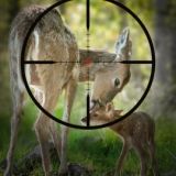 Morgen Eisenstadt: VGT-Protest mit 6m-Dreibeinen vor Schloss Esterhazy gegen Gatterjagd