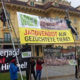 Jetzt: zwei 6 m hohe Dreibeine vor Schloss Esterhazy mit Protestbanner gegen Gatterjagd