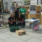 Jetzt: Ausstellung über Zuchtfasane für die Jagd vor dem Hauptbahnhof in St. Pölten