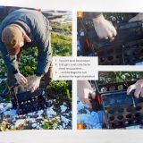 Die Jagdhundeausbildung und ihre tierquälerischen Methoden