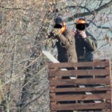 Schuss auf VGT-Obmann bei Gatterjagd Nov 2015: Staatsanwaltschaft stellt Verfahren ein