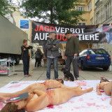 Nackte TierschützerInnen als geschossene Fasane fordern: Verbot der Jagd auf Zuchttiere!