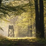 Jagdgesetzesreform: Vorarlberg einen Schritt weiter Richtung Verbot Zuchttierjagd