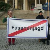 Heute wieder Tierschutzdemo vor Landhaus Eisenstadt: Verbot der Jagd auf Zuchtfasane!