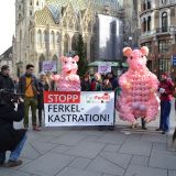 99 Luftballons… auf dem Weg zum Stephansdom