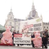 JETZT: Schweinekunstwerke am Grazer Hauptplatz - Für ein Ende der betäubungslosen Ferkelkastration