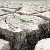 Einladung: VGT-Pressekonferenz zur ökologischen Katastrophe Jagdgatter Mayr-Melnhof