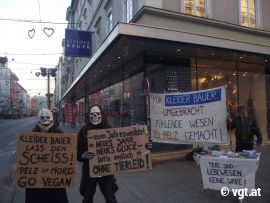 Anti-Pelz-Demo