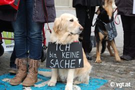 Mahnwache 2