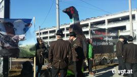 DemonstrantInnen 2