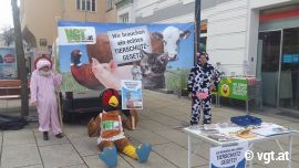 TierschützerInnen im Kostüm