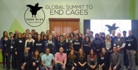 Open Wing Alliance Treffen
