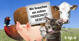Demo zum Tierschutzgesetz