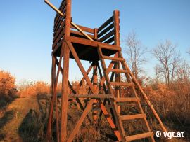 Hochstand im Jagdgatter