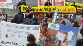Martin und Madeleine