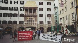 Demo beim Goldenen Dachl