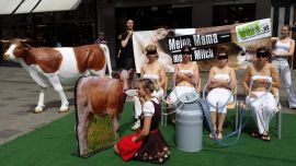milch1