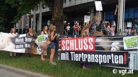 Die Kundgebung hat das Tierschutzministerium erreicht.