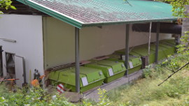 Boxen
