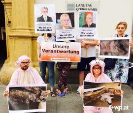 Demo vor Steir. Landtag