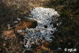 Würstel im Wald