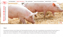Website des Betriebs