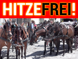 Fiakerpferde