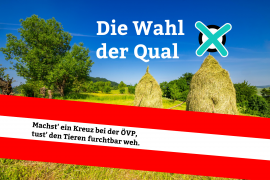 Landschaft mit Wahl der Qual-Spruch