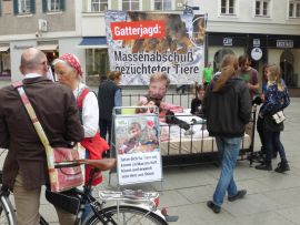 Bett mit Aktivistinnen und Schildern