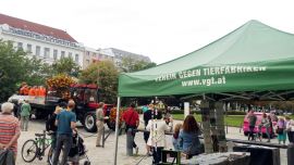 Tracktor von Erntedankumzug